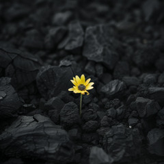 Needle in Darkness