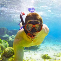Best Snorkeling Turks And Caicos Prices Reviews