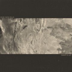 Dead Skin Cells - Dasht-e Lut (Ambient Mix)