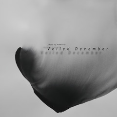 Veiled December