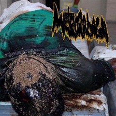 Metrorrhagia - LP FULL ALBUM