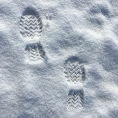 Whose Footprints Are In The Snow When No One Came