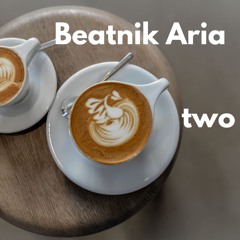 Beatnik Aria - Beatnik Aria Two - 04 Taking Flight