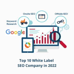 Top 10 White Label SEO Company