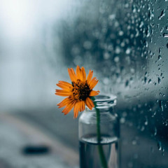 ( الغُربة والقوة ) غلام الأخدود
