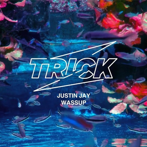 Justin Jay - Wassup(Rustic Bootleg)[Freedown]