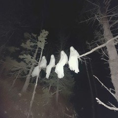 The Tale of Tolle (Ft. Eckhart Tolle)