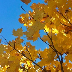 It's A String Thing?