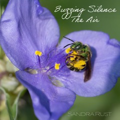 Buzzing Silence Fills The Air