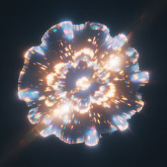 Mycellium