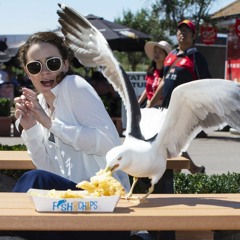 Ranting is great + interview with Ceschi