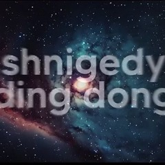 Shnigedy Ding Dong - Sbassbear