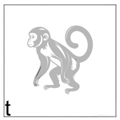 t\ - MONKE (clip)