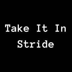 Take It In Stride - Mixes