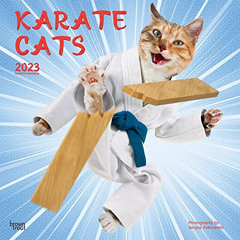 [GET] PDF 💘 Karate Cats | 2023 12 x 24 Inch Monthly Square Wall Calendar | BrownTrou
