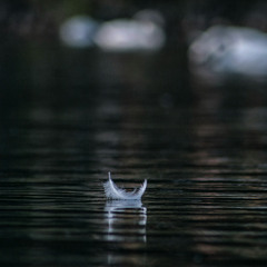 like a feather - Part I