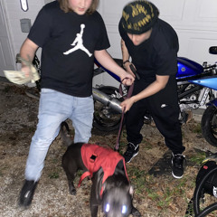 Cing Of The Jungle (Ft. STMTrik)