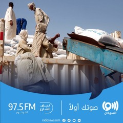 الأمم المتحدة توصل أكثر من 44 ألف طن من المساعدات إلى السودان