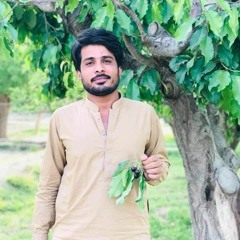 ALLAH_BIYARI balochi song faiza