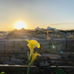 September (Nub2323slowNFastNub1343fast)