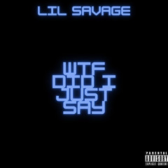 WTF DID I JUST SAY .by Lil Savage