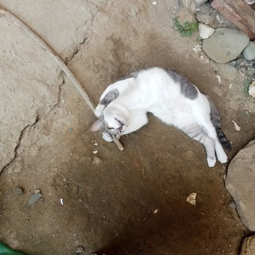 Everything is fine.m4a