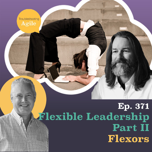 Flexible Leadership Part II - Flexors