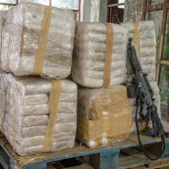 ❄️Blood Sport - Pitbull ❄️