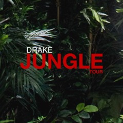 Drake - Jungle (Tam Remix)