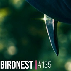 BIRDNEST #135