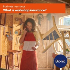 What is workshop insurance?