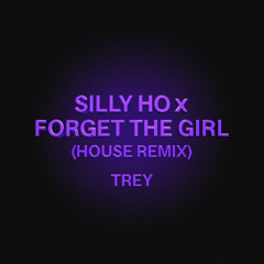 silly ho x forget the girl rework