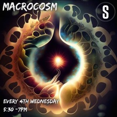 Macrosm November 2024