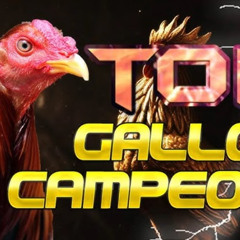intro_youtube_de_gallo