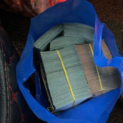 Chiều Thu Hoạ Bóng Nàng - Em Nào Có Tội - Song Phan Remix 2025