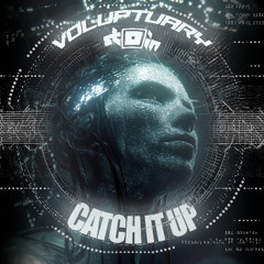 VolupTuary - CATCH IT UP (ft. STOIN)