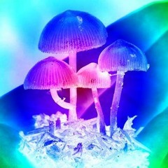 Licht an