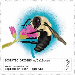 Ecstatic Origins