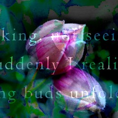 a simple opening [naviarhaiku425]