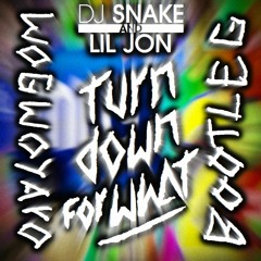 DJ Snake & Lil Jon - Turn Down For What (Wogwoyaro Bootleg) [FREE DL]