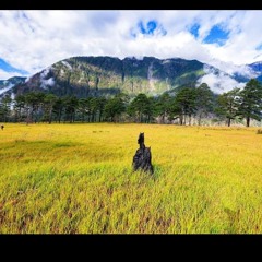 Dungal  || Monpa Song