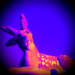 Good Doe