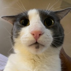 real bangers of all time