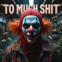 TO MUCH SHIT