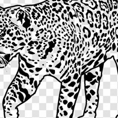 um jaguar por noite (sonhos) - exp 1