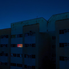 school rooftop -(Mourning dove) summer nostalgia