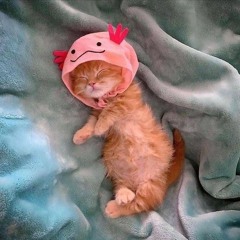 соня мармеладова — скумбрия love