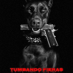 santa 3 de octubre klan ft pitufo smurf TuMbAnDo FiErAS _1.m4a