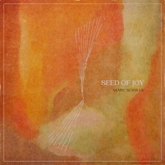 Seed Of Joy feat. Brian Fallon