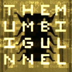 13 The Millennium Bug